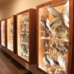 Foto p.g.c. CEA Niscemi 